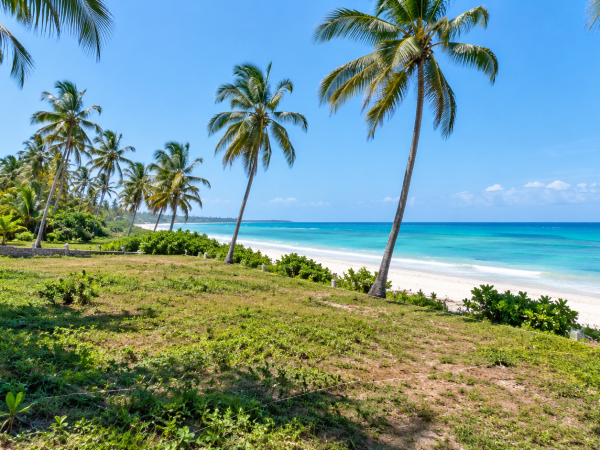 5 Acres Land for Sale in Diani